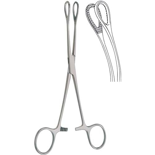 Sponge Holding Forceps Forester